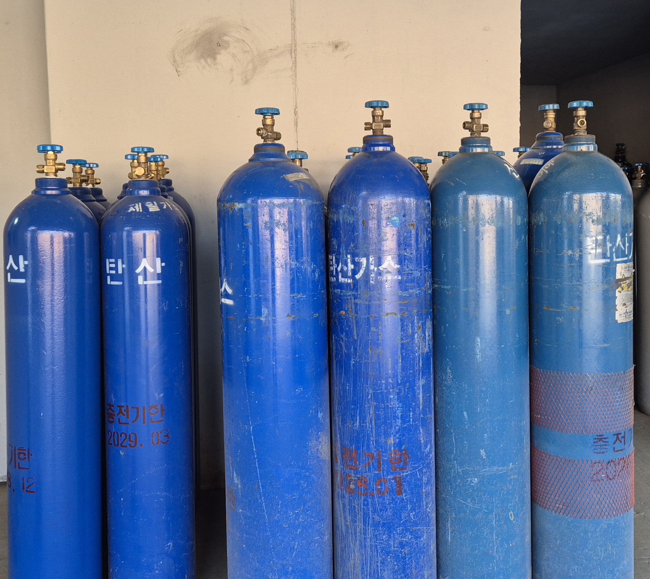 이산화탄소 (CO₂)